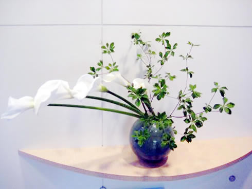 f02.jpg
