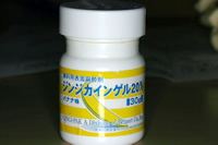 s02.jpg